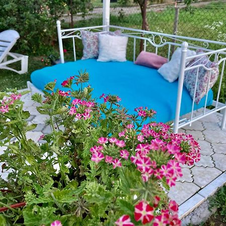 Apartman White House With Sauna And Jacuzzi Novi Sad Exterior foto