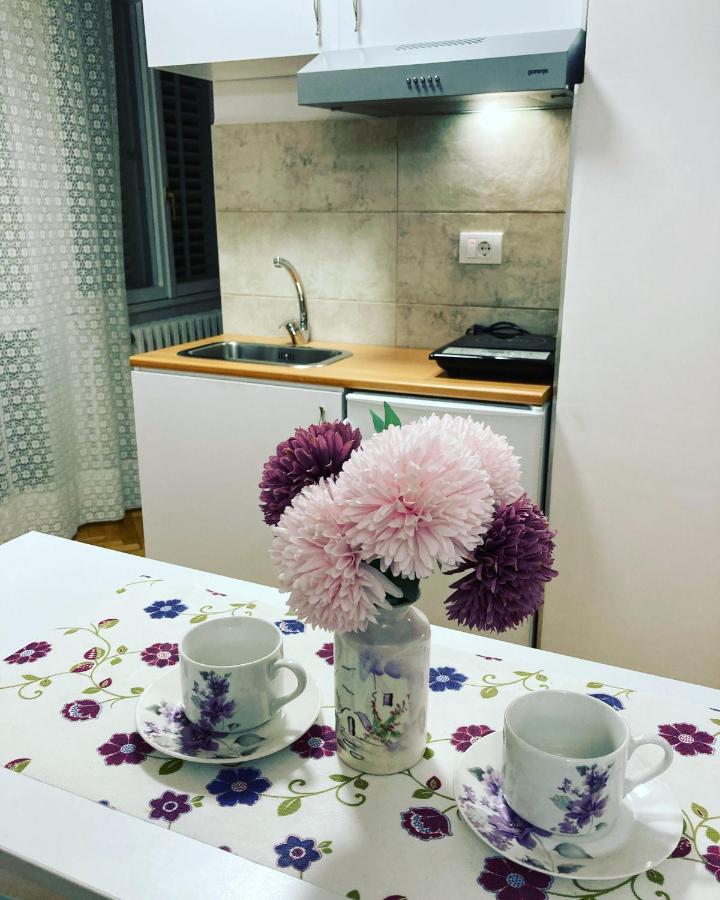 Apartman White House With Sauna And Jacuzzi Novi Sad Exterior foto
