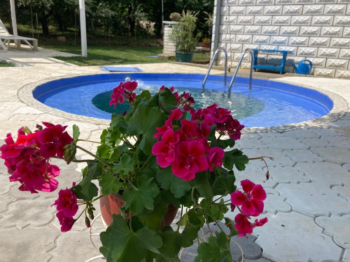 Apartman White House With Sauna And Jacuzzi Novi Sad Exterior foto