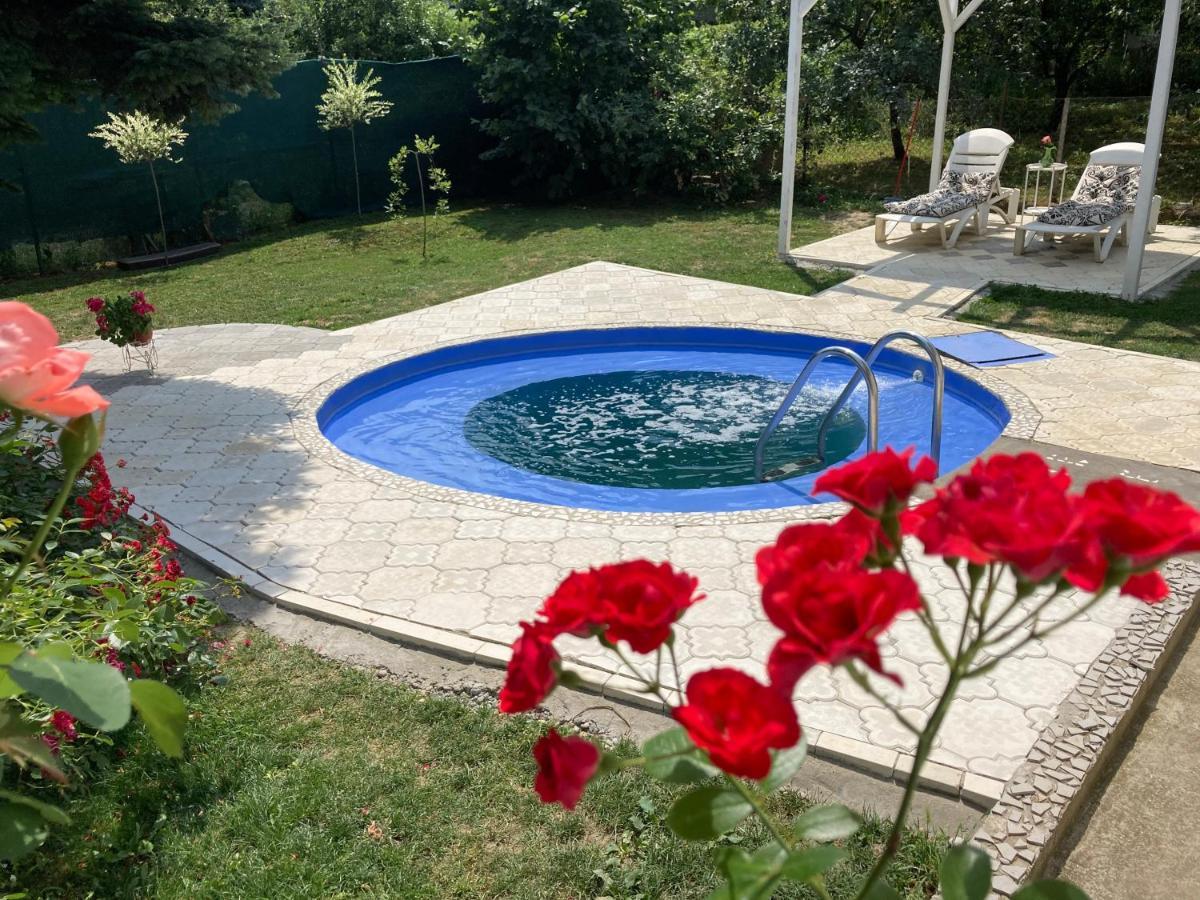 Apartman White House With Sauna And Jacuzzi Novi Sad Exterior foto