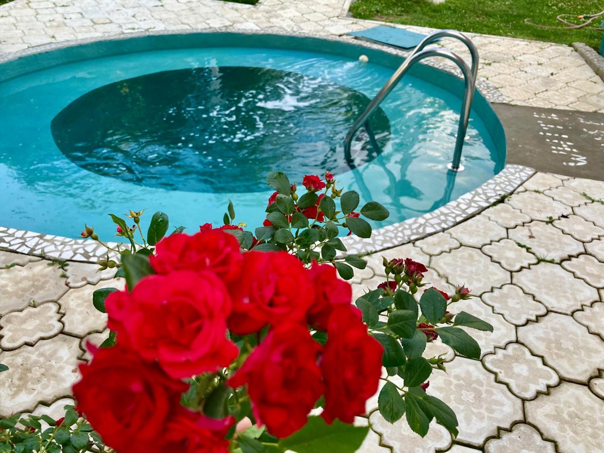 Apartman White House With Sauna And Jacuzzi Novi Sad Exterior foto