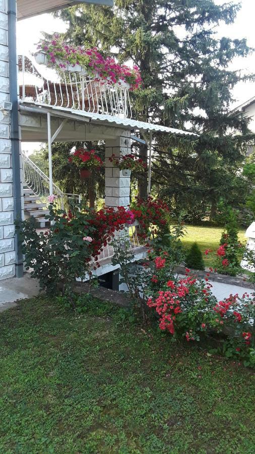 Apartman White House With Sauna And Jacuzzi Novi Sad Exterior foto