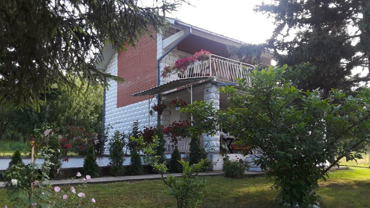 White House With Sauna And Jacuzzi Novi Sad Exterior foto