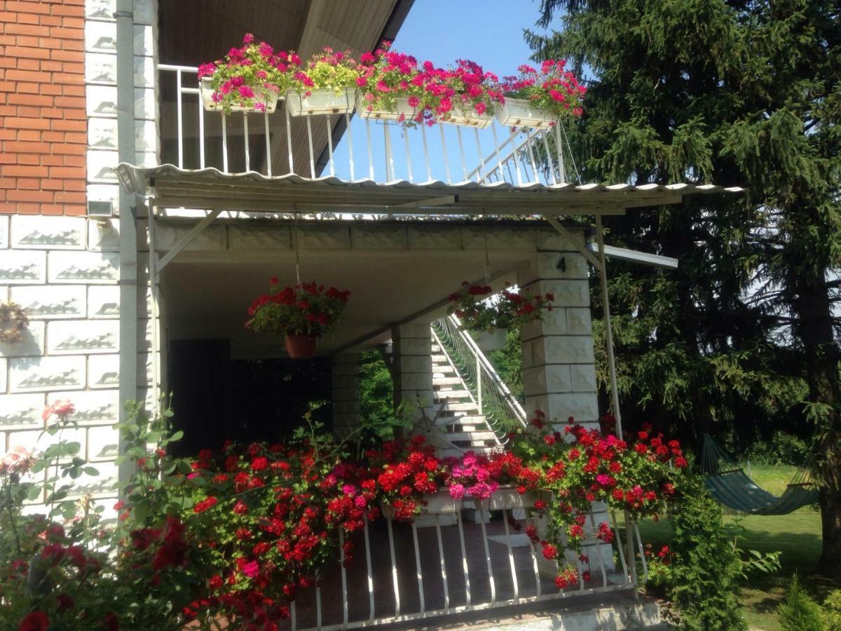 White House With Sauna And Jacuzzi Novi Sad Exterior foto